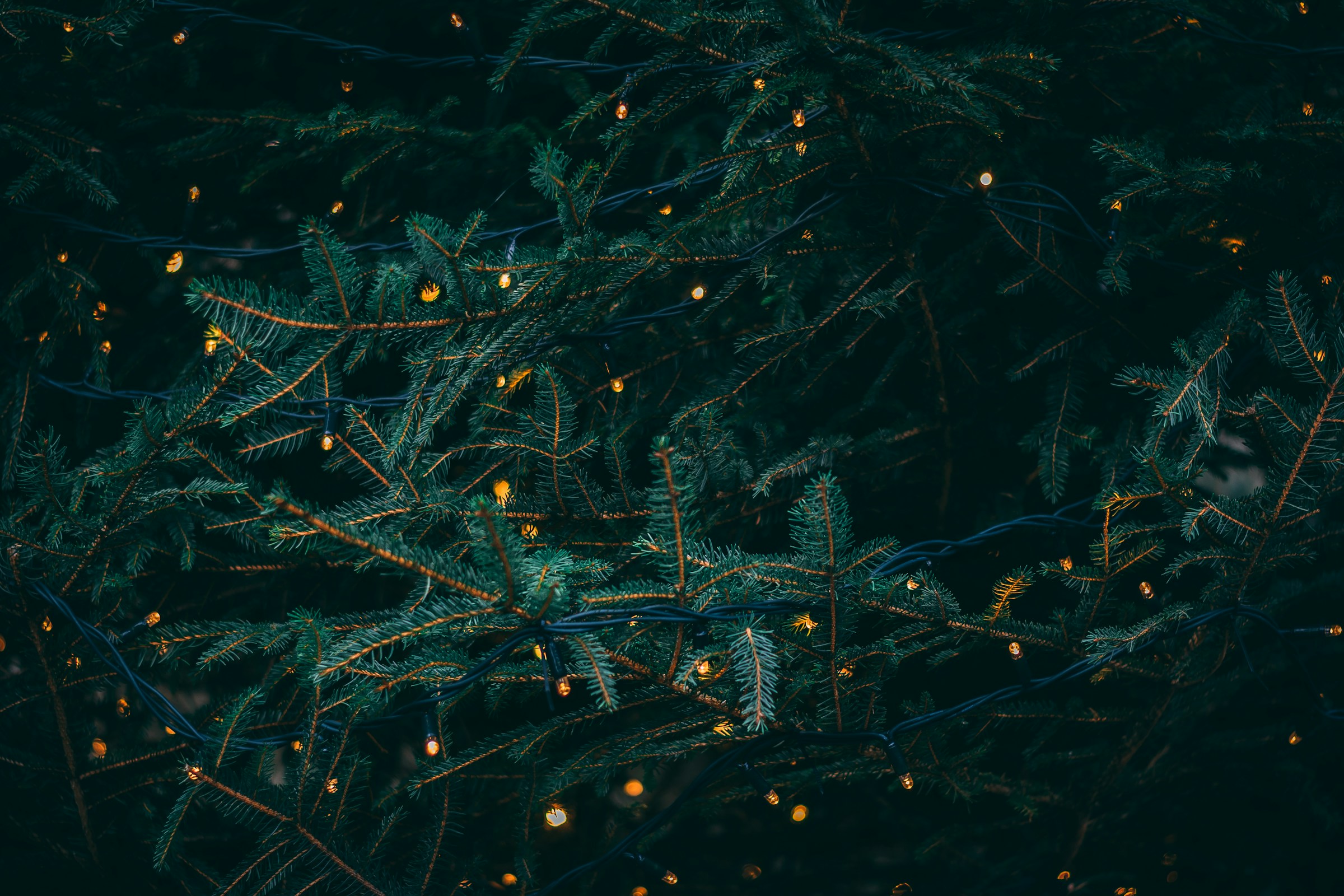 christmas background img 2